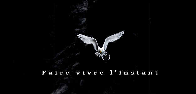 Faire vivre l'instant - Johan ETHEVE